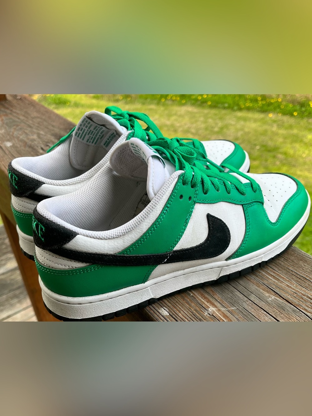Nike Dunks 10.5 w/box